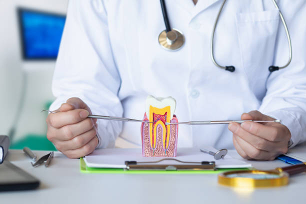 Best Dentist for Tooth Abscess  in Olivet, TN